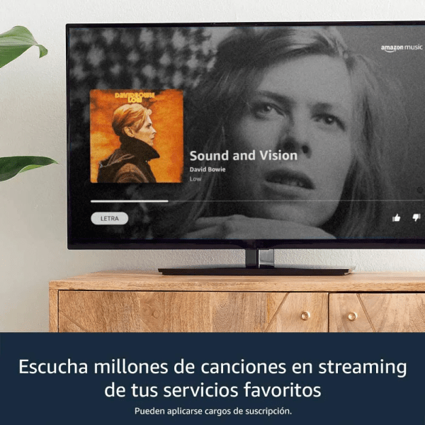 Convertidor smart Fire Tv Stick control de voz Google Assistant full HD 3 Gen Amazon - Imagen 6